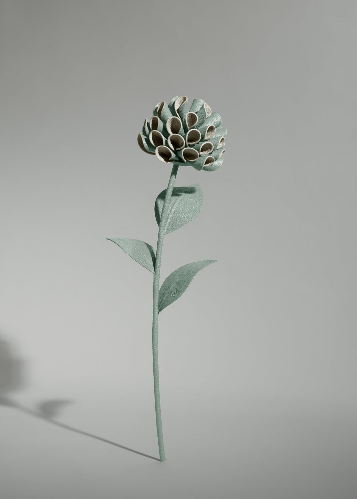 Fleur Dalium - Amande Fraîche