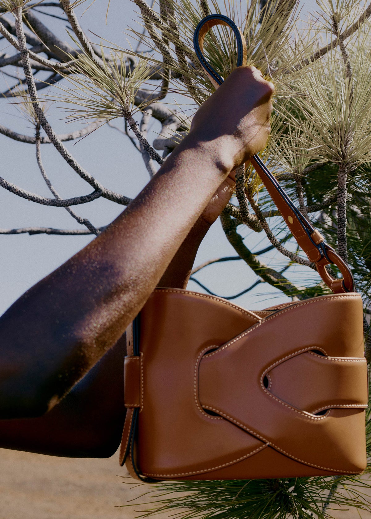 Nodde - Cognac Lisse