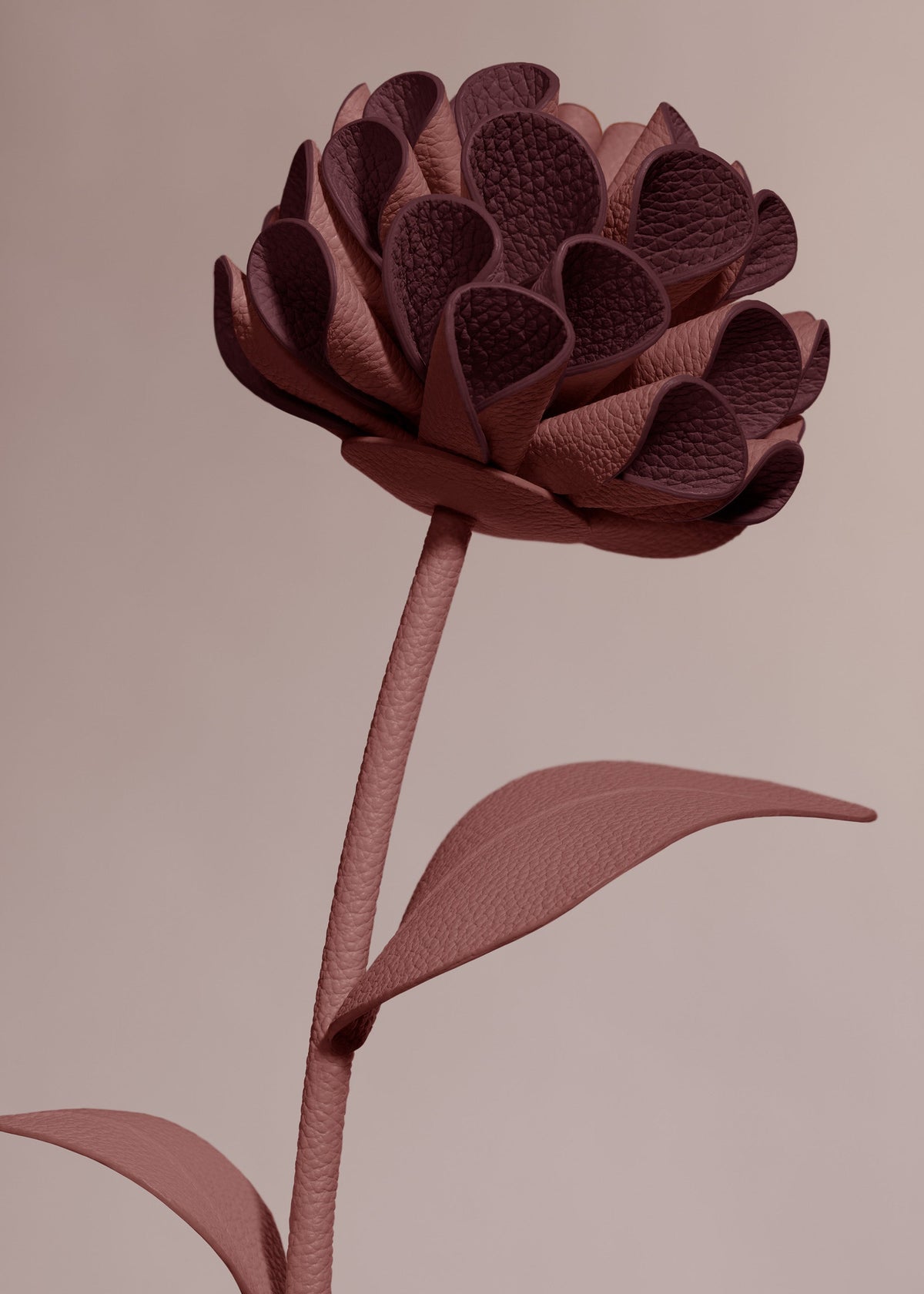 Fleur Dalium - Lilas