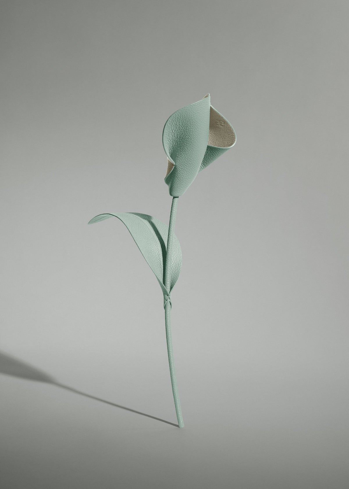 Fleur Pili - Amande Fraîche