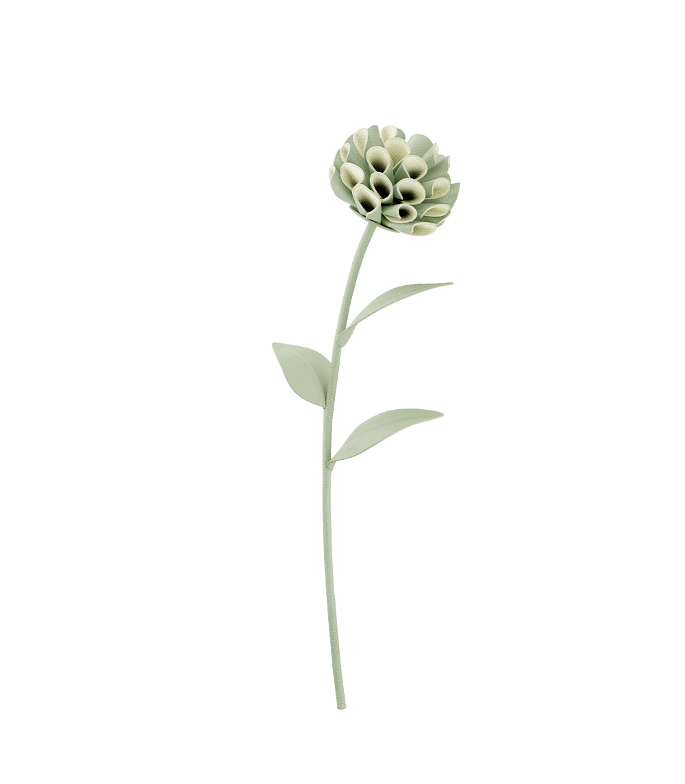 Fleur Dalium - Amande Fraîche