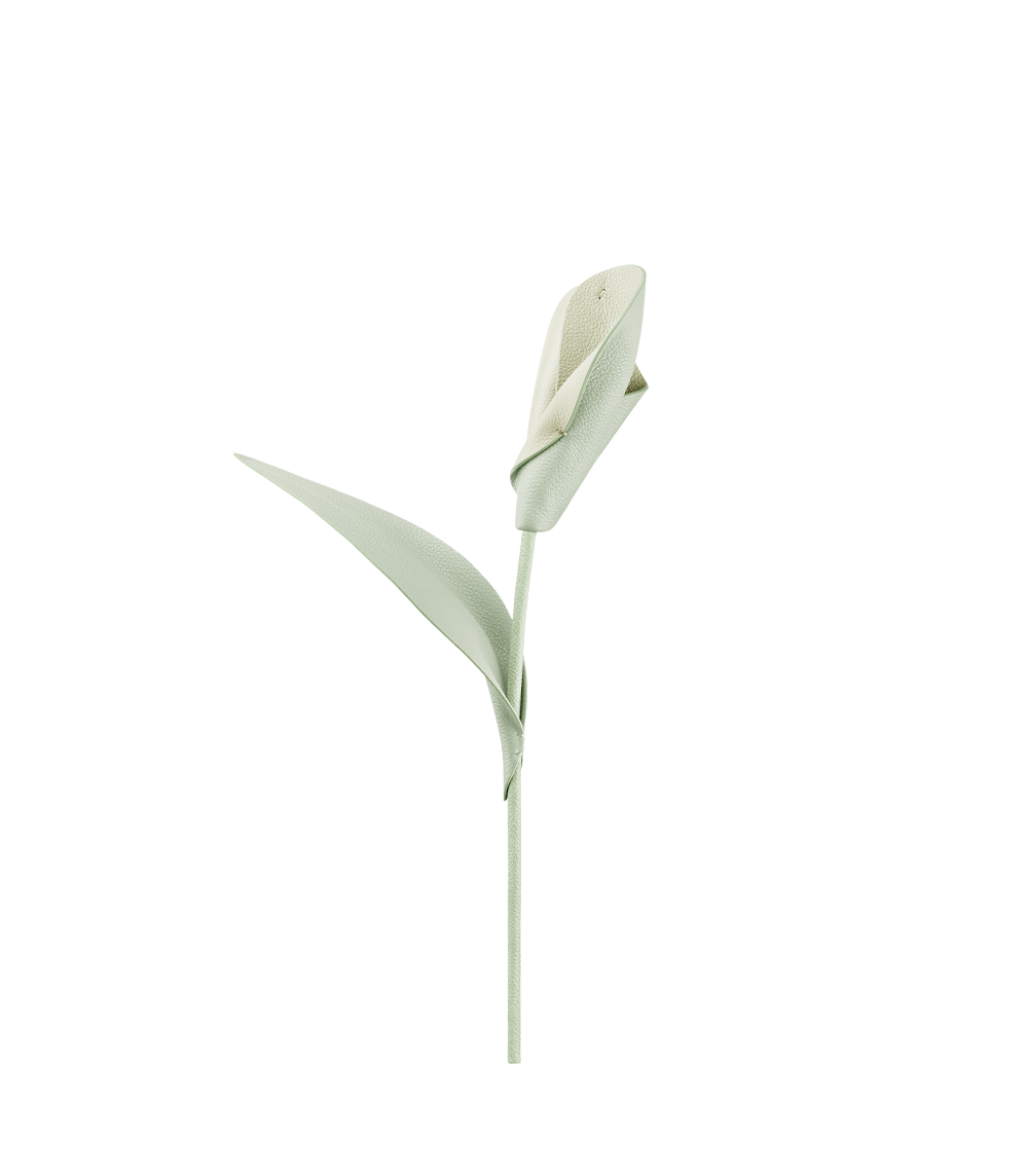 Fleur Pili - Amande Fraîche