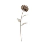 Fleur Dalium - Craie