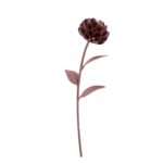 Fleur Dalium - Lilas