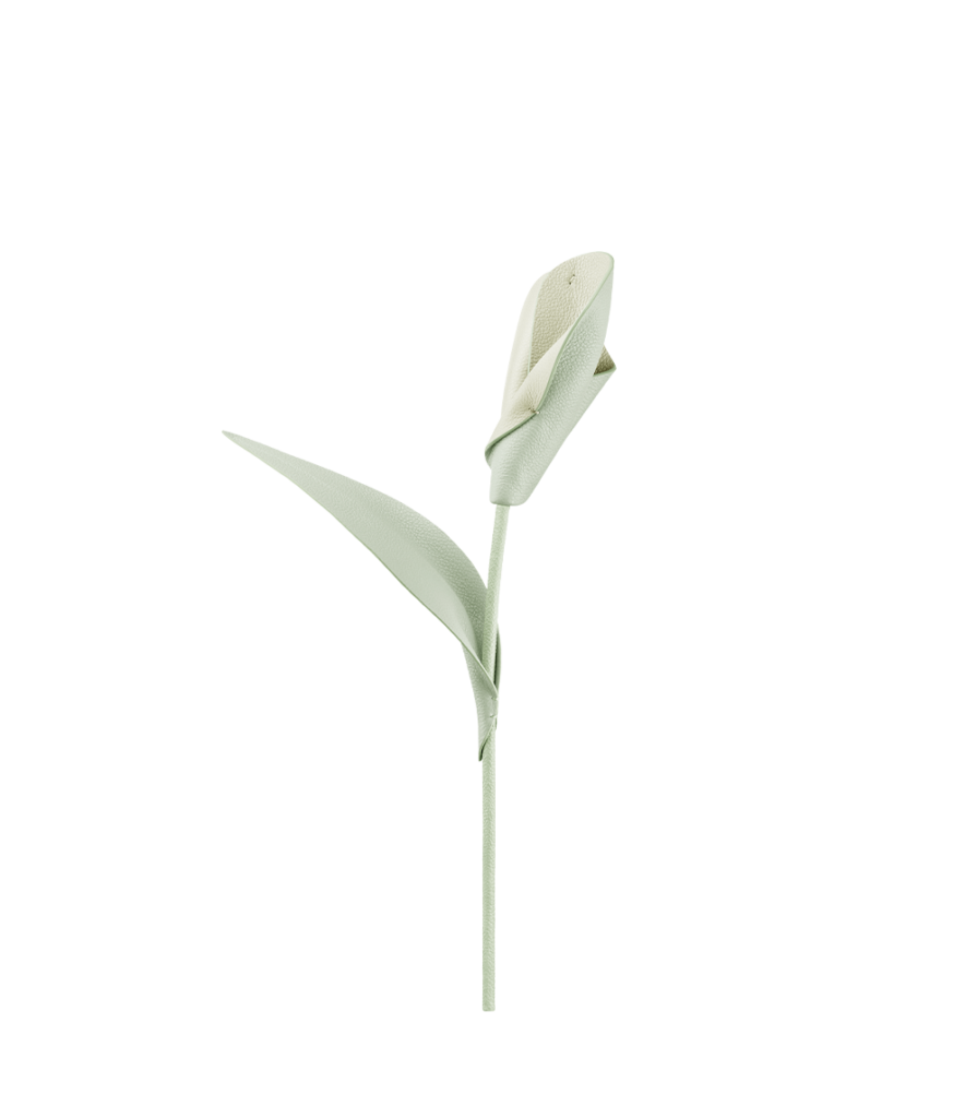 Fleur Pili - Amande Fraîche