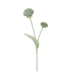 Fleur Tul - Amande Fraîche